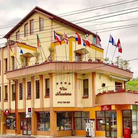 Vila Nicoleta Бэи­ле-Олэ­неш­ти Экстерьер фото