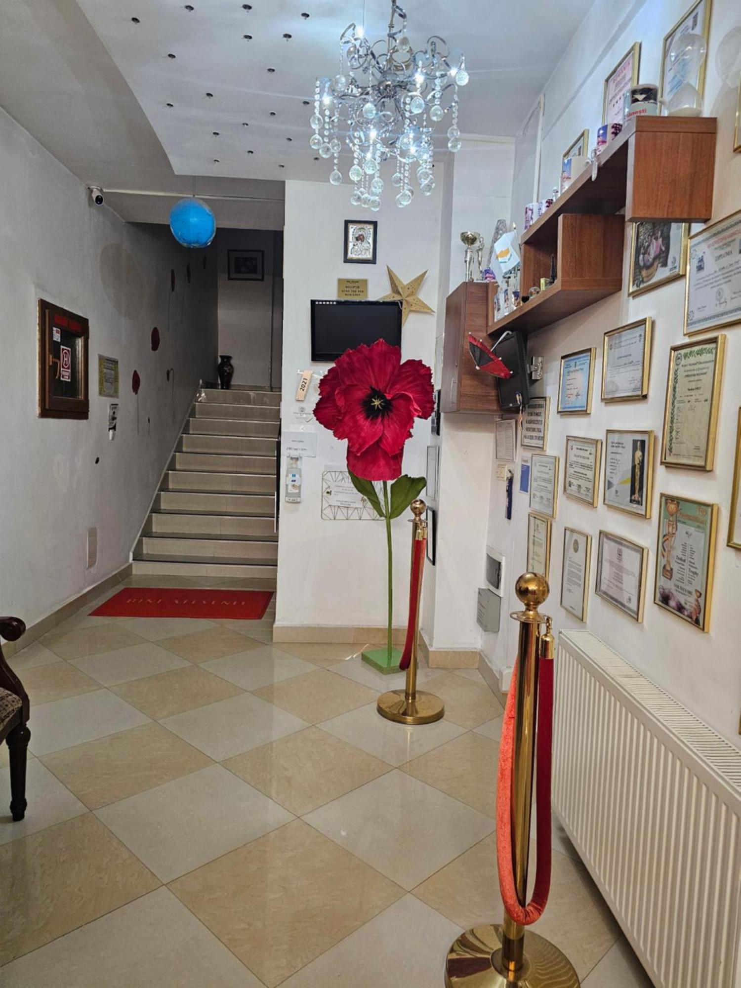 Vila Nicoleta Бэи­ле-Олэ­неш­ти Экстерьер фото