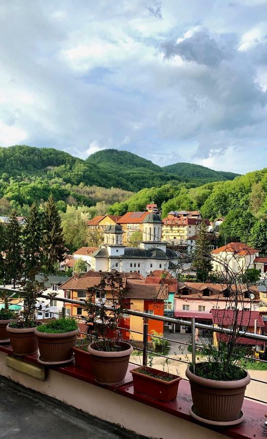Vila Nicoleta Бэи­ле-Олэ­неш­ти Экстерьер фото