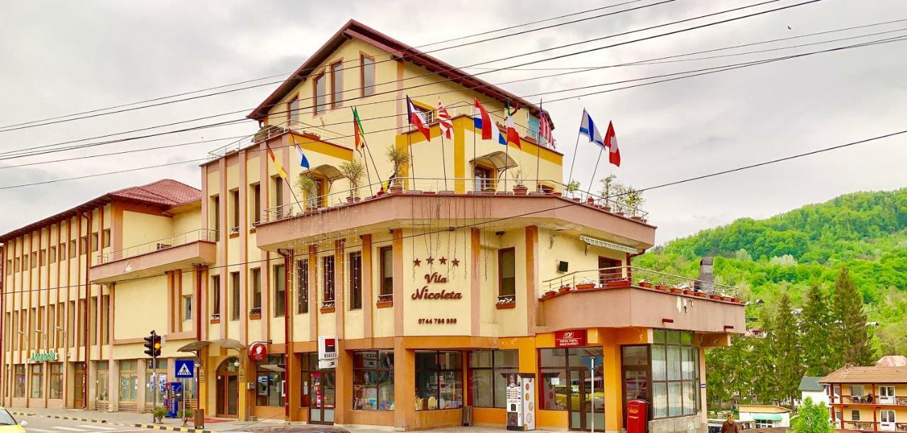 Vila Nicoleta Бэи­ле-Олэ­неш­ти Экстерьер фото